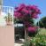 "JELE AND LUKA'S GUESTHOUSE", private accommodation in city Dubrovnik, Croatia - Kuca, zadnja strana